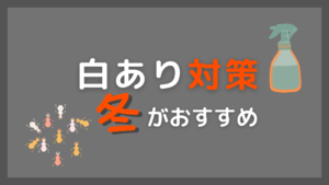 白あり対策をするなら冬。注意点まとめ